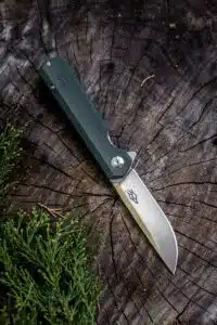 Ganzo FH11