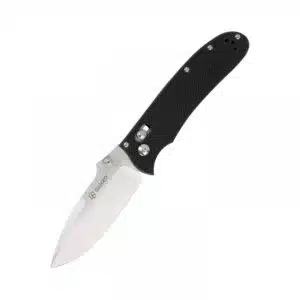 Ganzo D704 D2