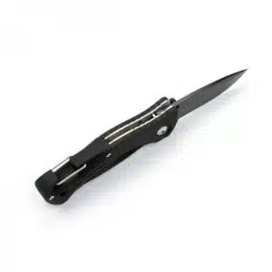 Ganzo G611 420C, Folding Knife