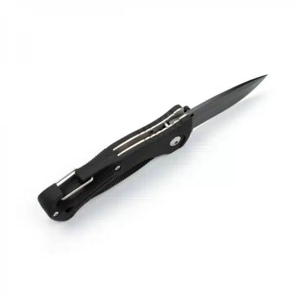 Ganzo G611 420C, Folding Knife