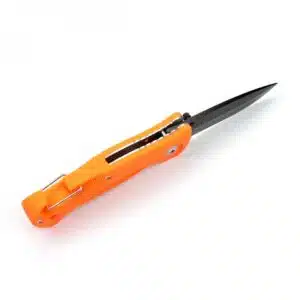 Ganzo G611 420C, Folding Knife