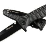 Firebird F620