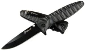 Firebird F620