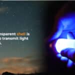 Brinyte A01 Apollo 4 light colours