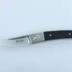 Ganzo G7361