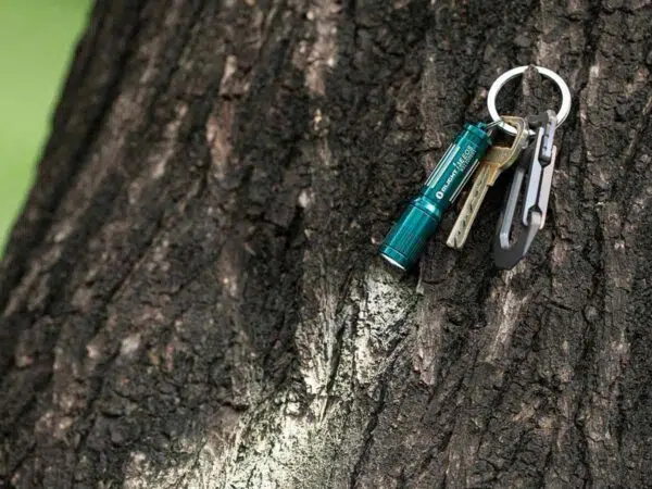Olight i3E EOS Keychain Flashlight – 90 Lumens, AAA Battery, Twist Tailcap, 44m Throw - Image 37