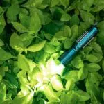 Olight i3E EOS Keychain Flashlight – 90 Lumens, AAA Battery, Twist Tailcap, 44m Throw